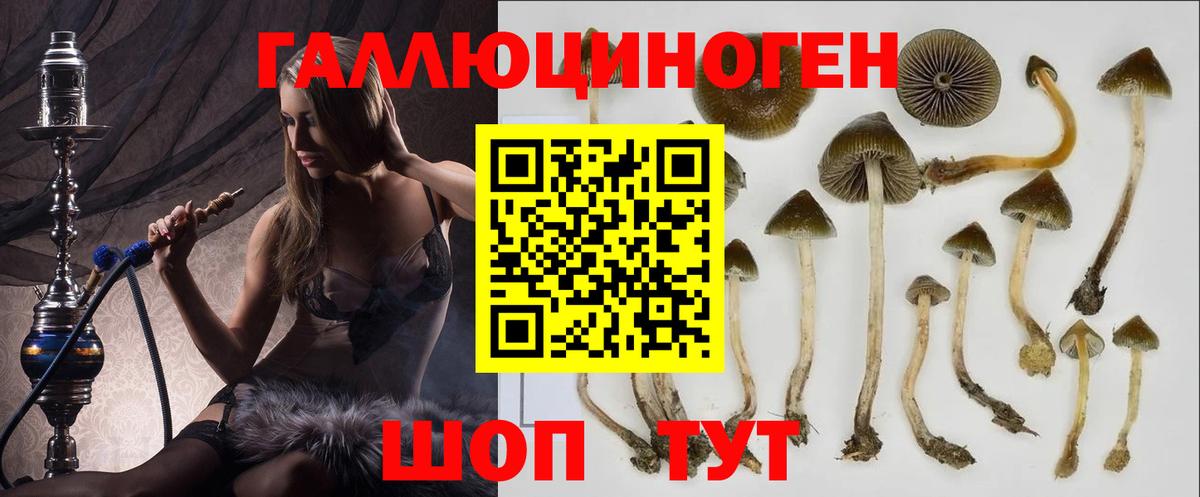 что такое наркотик  Псилоцибиновые грибы GOLDEN TEACHER  Луга  Вход с VPN  Галлюциногенные грибы мицелий 