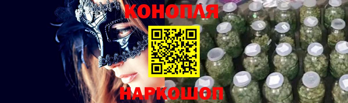 Каннабис OG Kush Луга